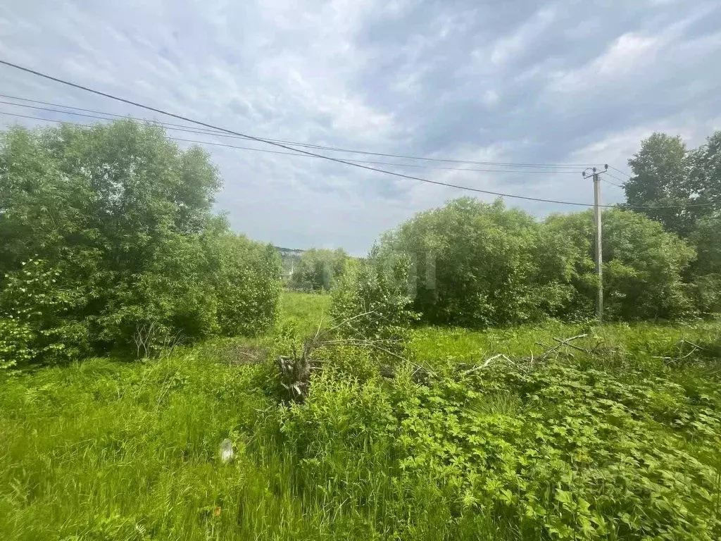 Участок в Амурская область, Благовещенский район, с. Чигири  (14.4 ... - Фото 2