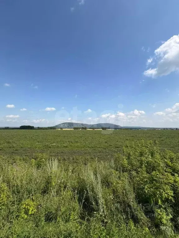 Участок в Башкортостан, Стерлитамакский район, Красноярский сельсовет, ... - Фото 1