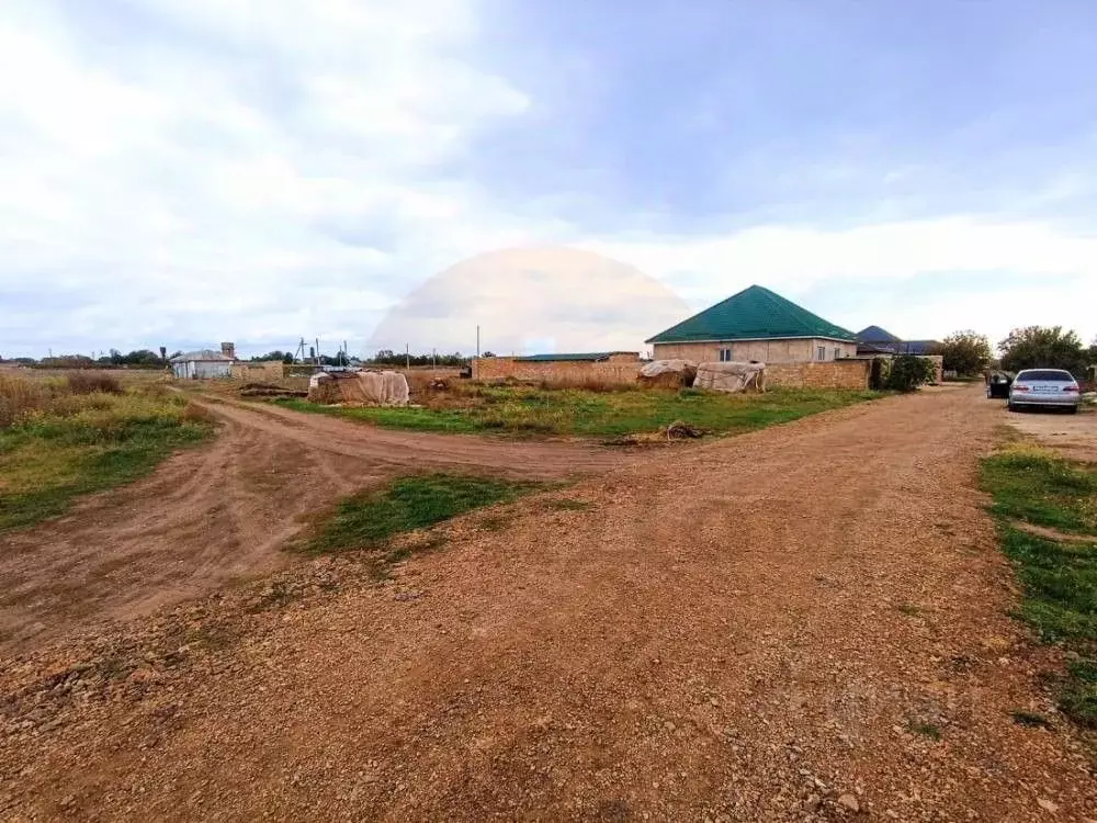 Участок в Крым, Сакский район, Митяевское с/пос, с. Шелковичное ул. ... - Фото 1