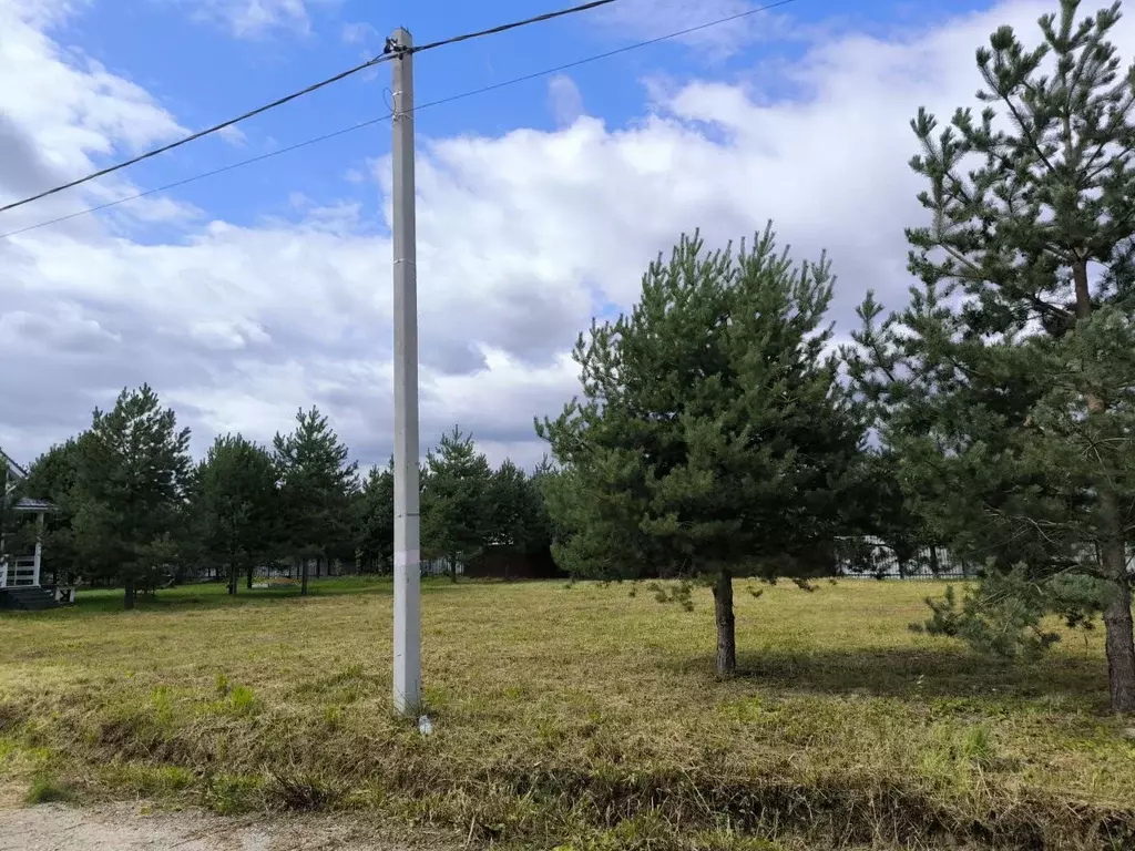 Участок в Московская область, Раменский муниципальный округ, с. Речицы ... - Фото 2