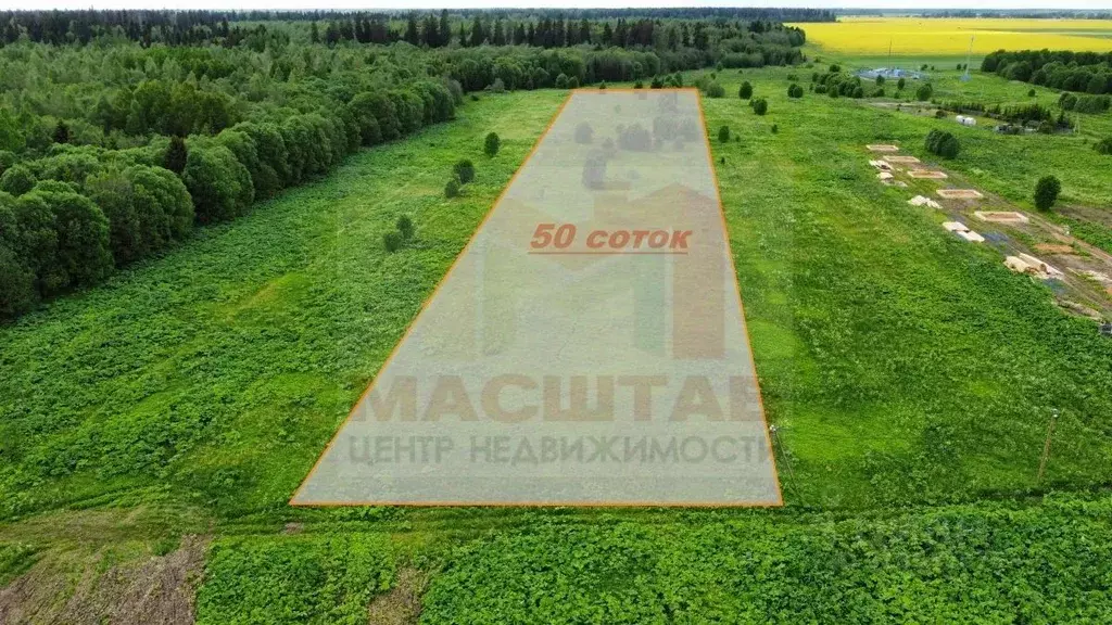 Участок в Ленинградская область, Волосовский район, д. Клопицы  (50.0 ... - Фото 1