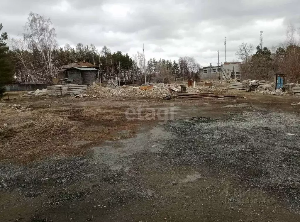 Участок в Курганская область, Шадринский муниципальный округ, с. ... - Фото 1