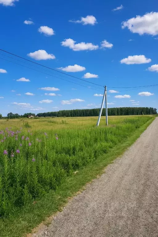 Участок в Московская область, Раменский муниципальный округ, д. ... - Фото 2