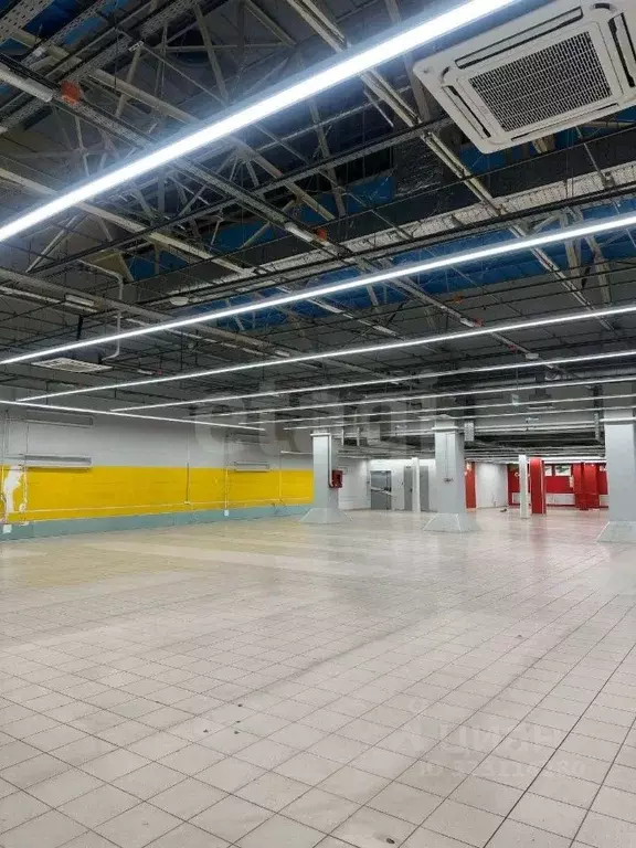 Помещение свободного назначения в Ростовская область, Ростов-на-Дону ... - Фото 1