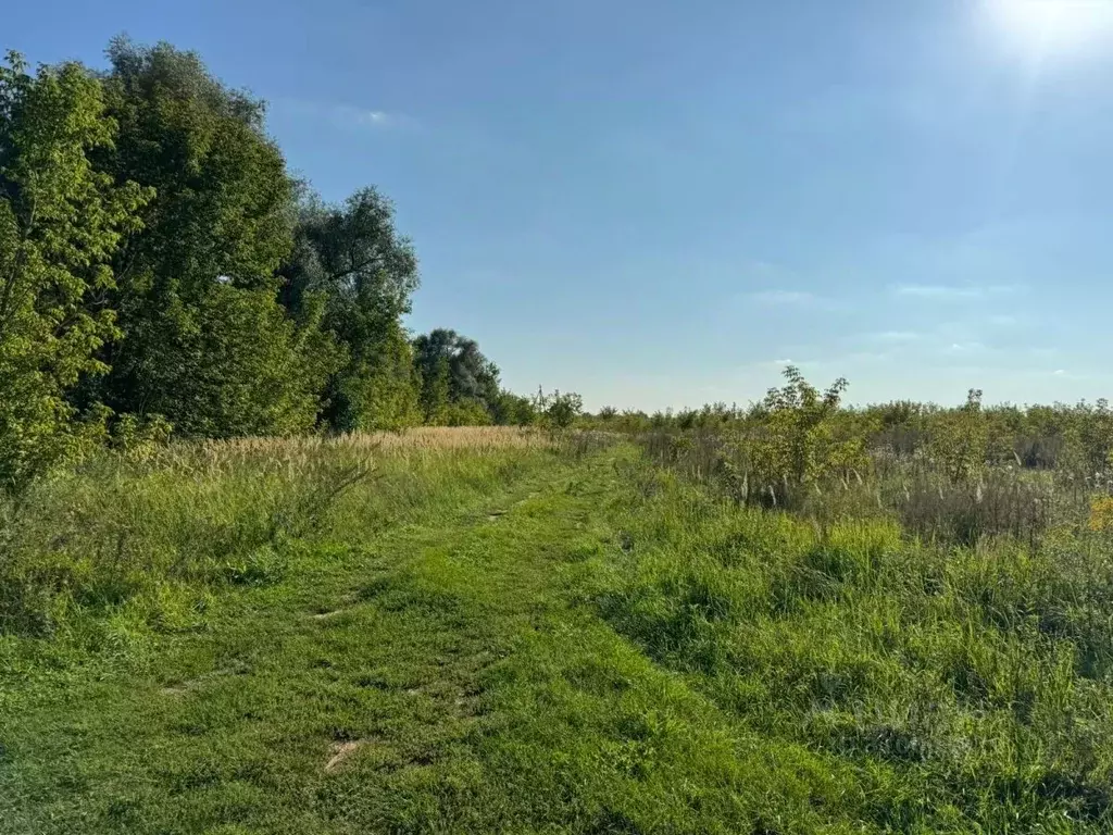 Участок в Московская область, Красногорск городской округ, с. ... - Фото 0