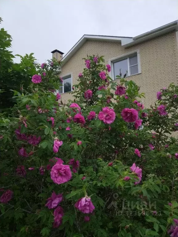 Коттедж в Еврейская автономная область, Смидовичский район, пос. ... - Фото 1