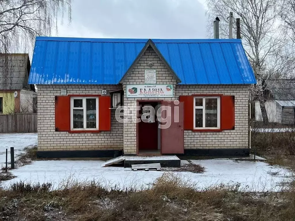 Торговая площадь в Липецкая область, Добровский муниципальный округ, ... - Фото 2