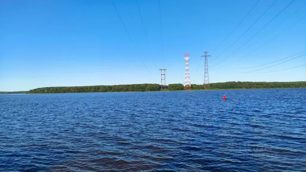 Участок в Тверская область, Конаково Волга-1 СНТ, 84 (20.7 сот.) - Фото 2