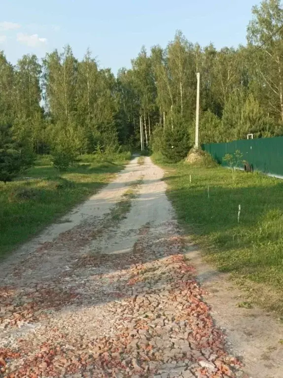 Участок в Владимирская область, Судогодский район, Лавровское ... - Фото 0