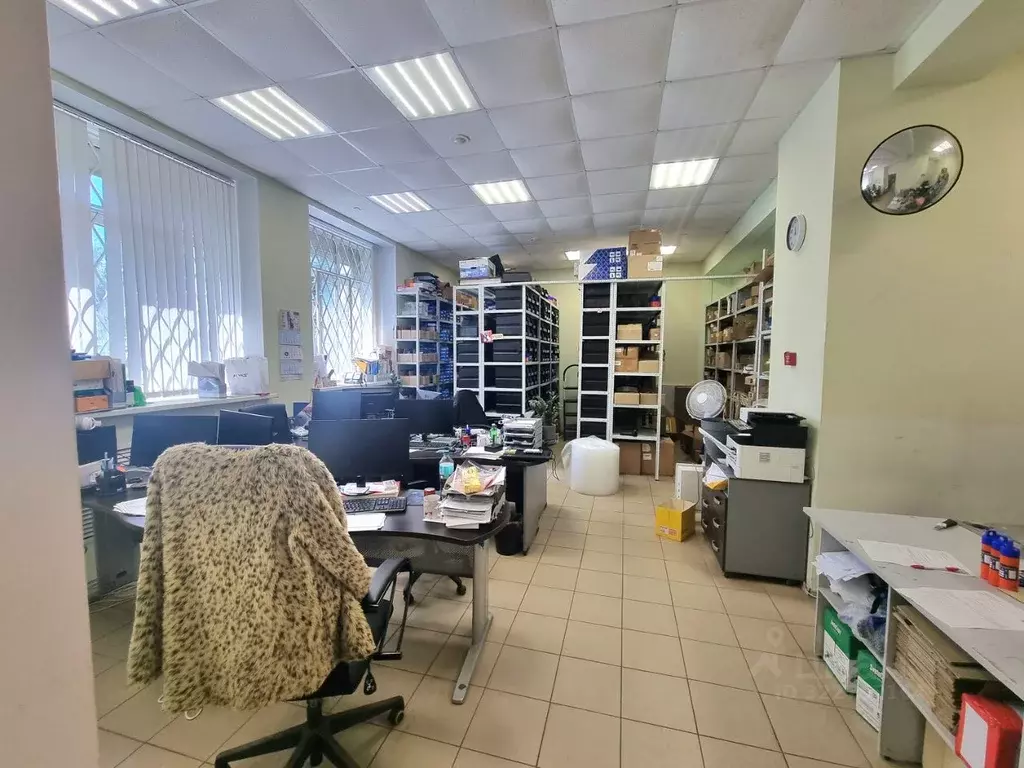 Торговая площадь в Ярославская область, Ярославль ул. Белинского, 31 ... - Фото 2