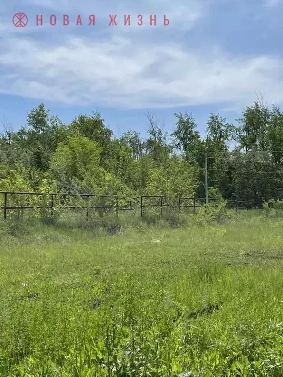 Участок в Самарская область, Кинель Радуга кп, проезд Конный (5.0 ... - Фото 1