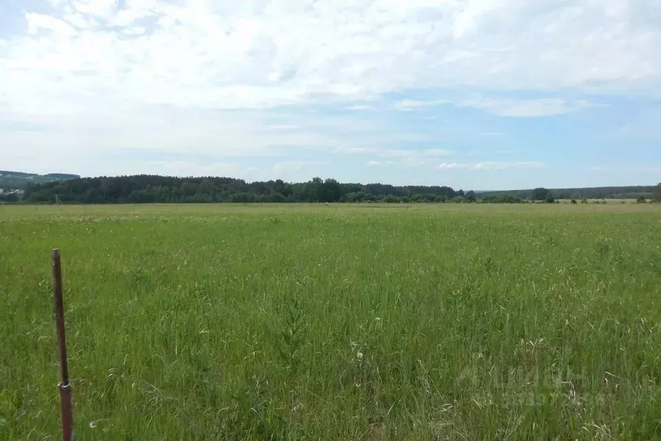 Участок в Новосибирская область, Новосибирский район, Барышевский ... - Фото 0