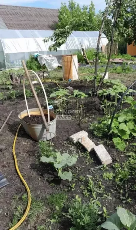 Дом в Челябинская область, Челябинск Прогресс СНТ, 2-й кв-л, 38 (19 м) - Фото 2