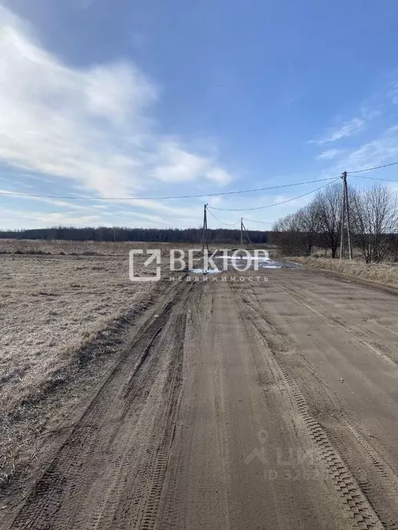 Участок в Ярославская область, Ярославский муниципальный округ, д. ... - Фото 2