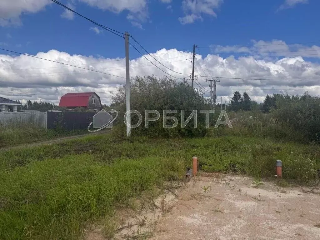 Участок в Тюменская область, Тюмень Садовое товарищество Липовый ... - Фото 1