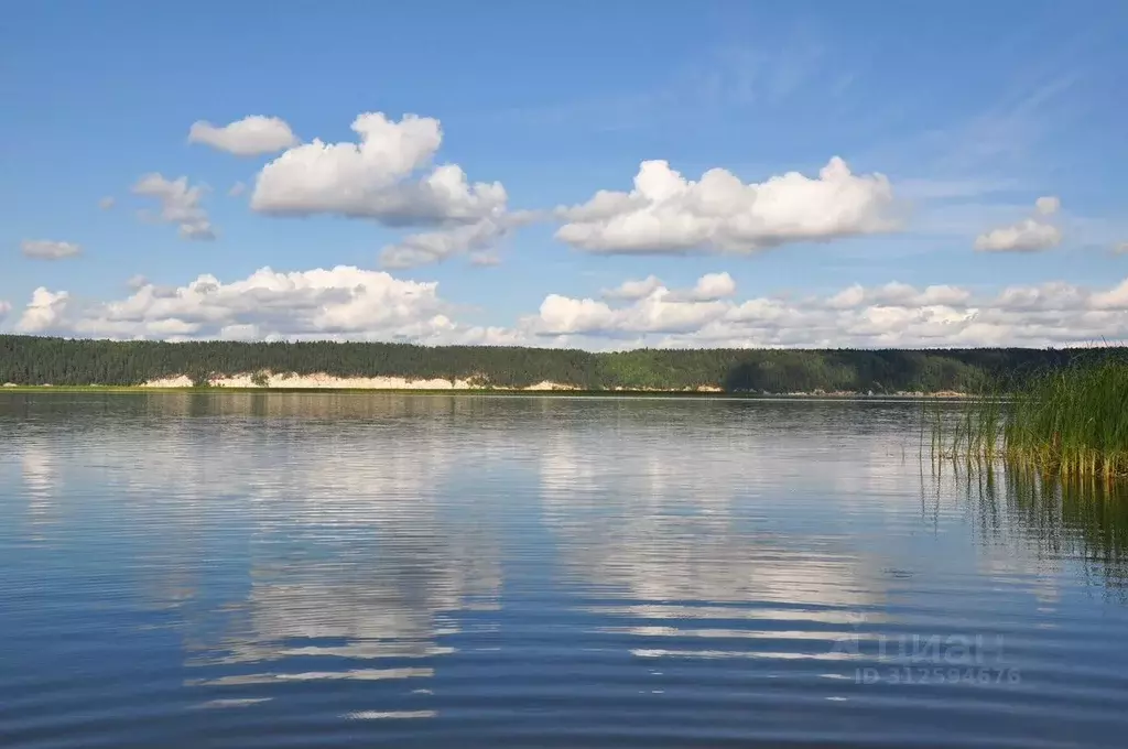 Участок в Пермский край, Кунгурский муниципальный округ, с. Насадка ... - Фото 1