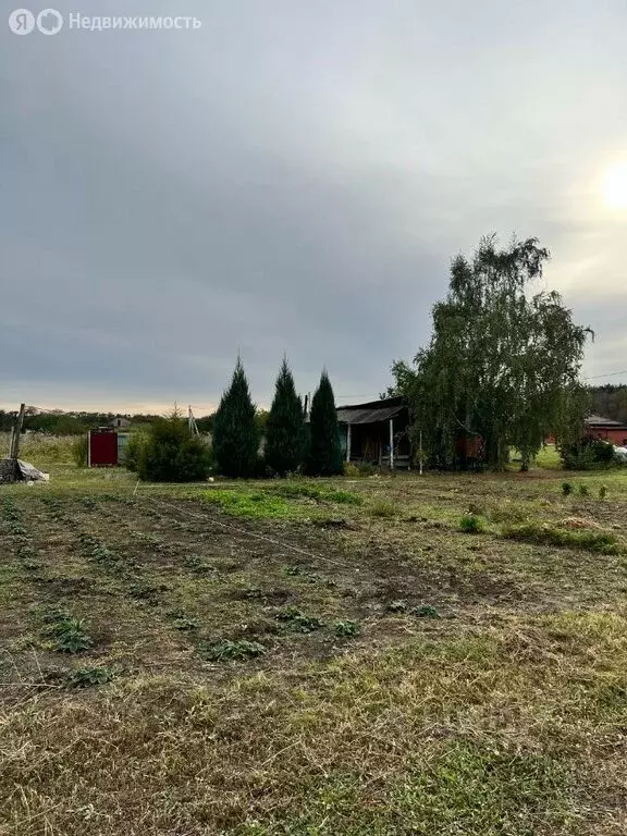 Участок в Красный Колос, Абрикосовая улица, 10 (10 м) - Фото 1