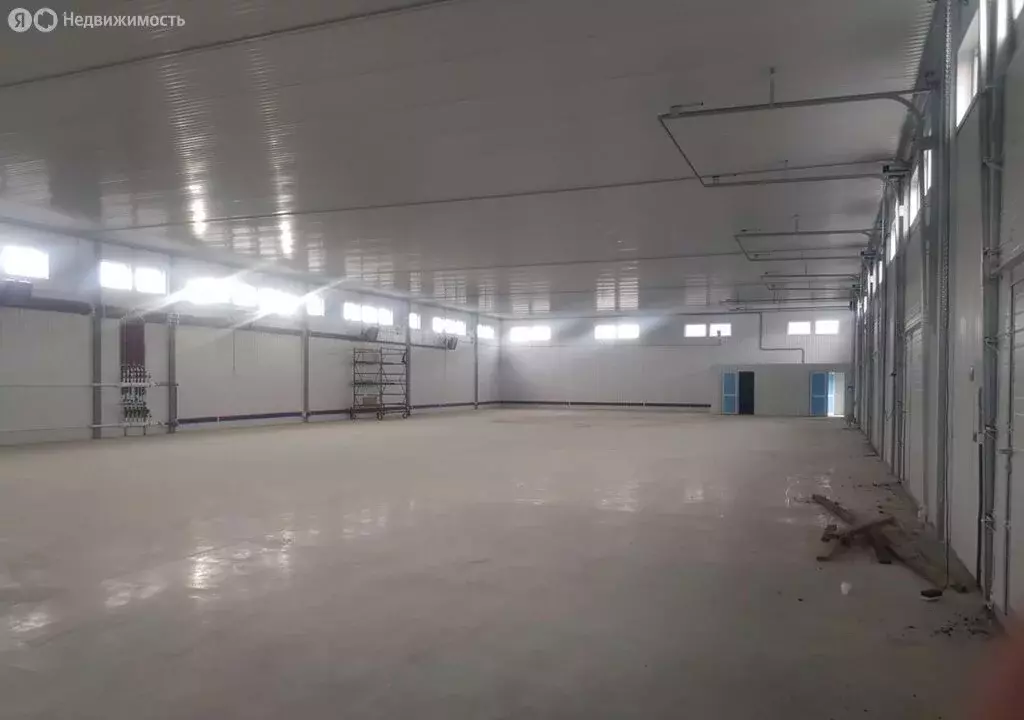 Производственное помещение (2500 м) - Фото 2