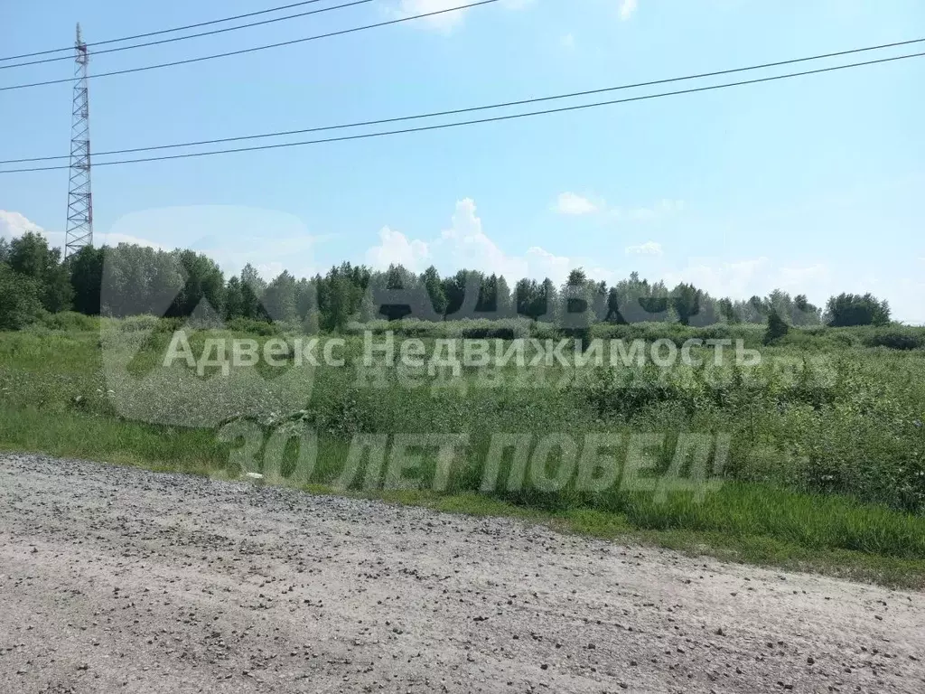 Участок в Тюменская область, с. Ярково ул. Черемуховая (10.0 сот.) - Фото 1