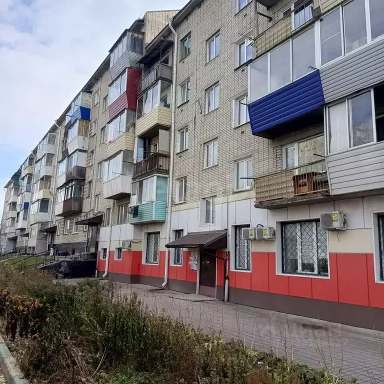 1-к кв. Алтай, Горно-Алтайск ул. Ленкина (28.3 м) - Фото 2