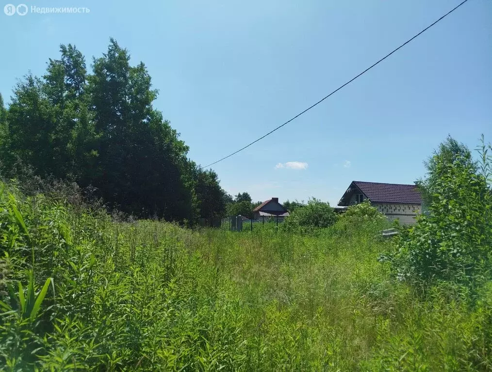 Участок в Калининград, СНТ Родник, Луговая улица, 338 (7.6 м) - Фото 2