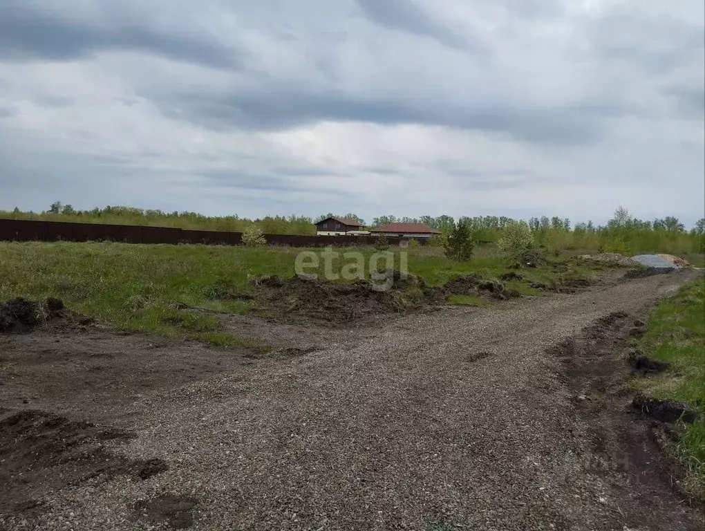 Участок в Челябинская область, Красноармейский район, Лазурненское ... - Фото 1