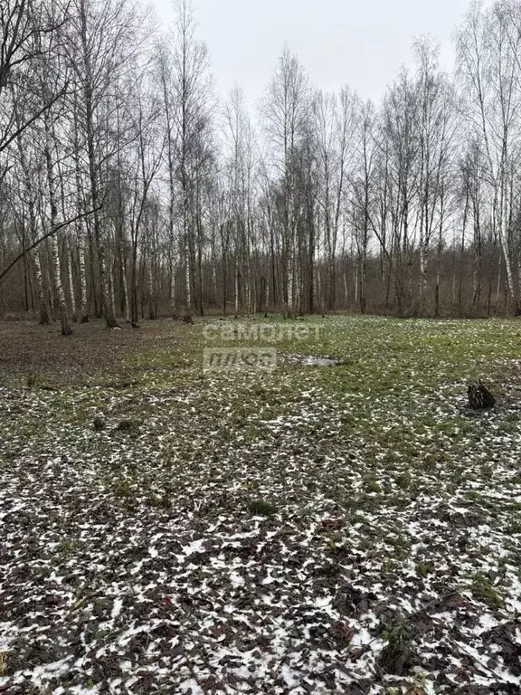 Участок в Московская область, Дмитровский муниципальный округ, пос. ... - Фото 2