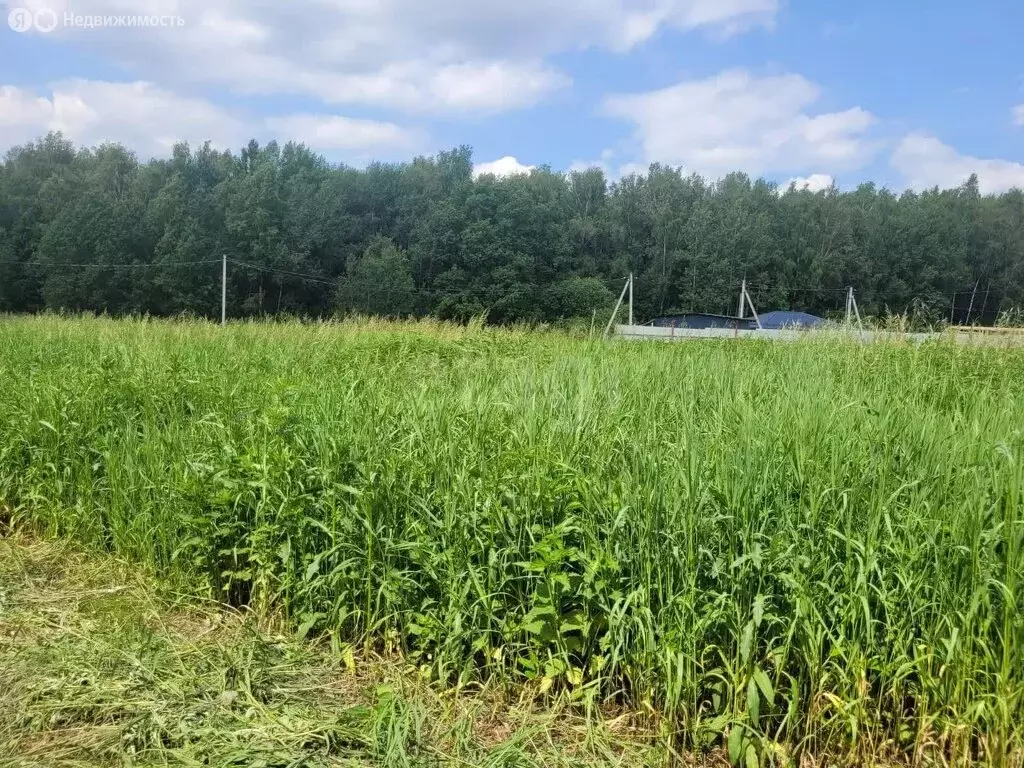 Участок в Сергиево-Посадский городской округ, ТСН Никульское, 77 (8.3 ... - Фото 1