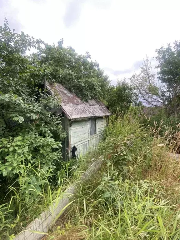 Участок в Ленинградская область, Гатчинский муниципальный округ, Учхоз ... - Фото 2