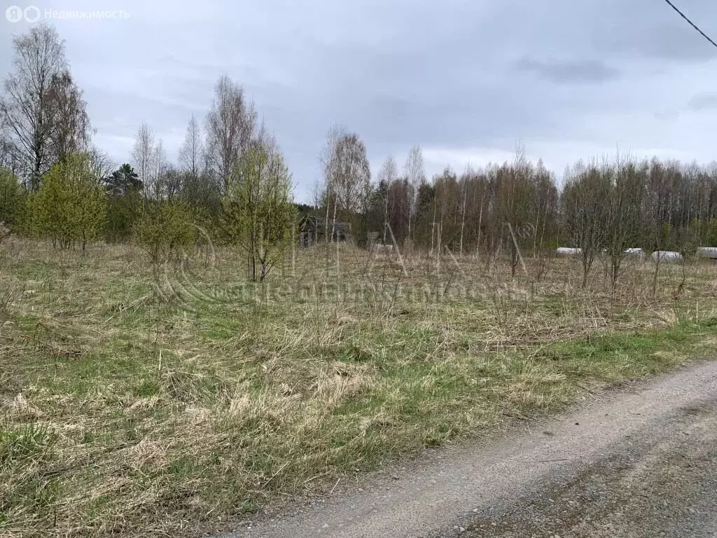 Дом в деревня Шамокша, Сельская улица, 3 (16.3 м) - Фото 1