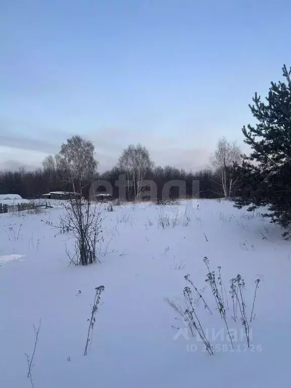 Участок в Томская область, Томск Сплавная ул. (625.0 сот.) - Фото 2