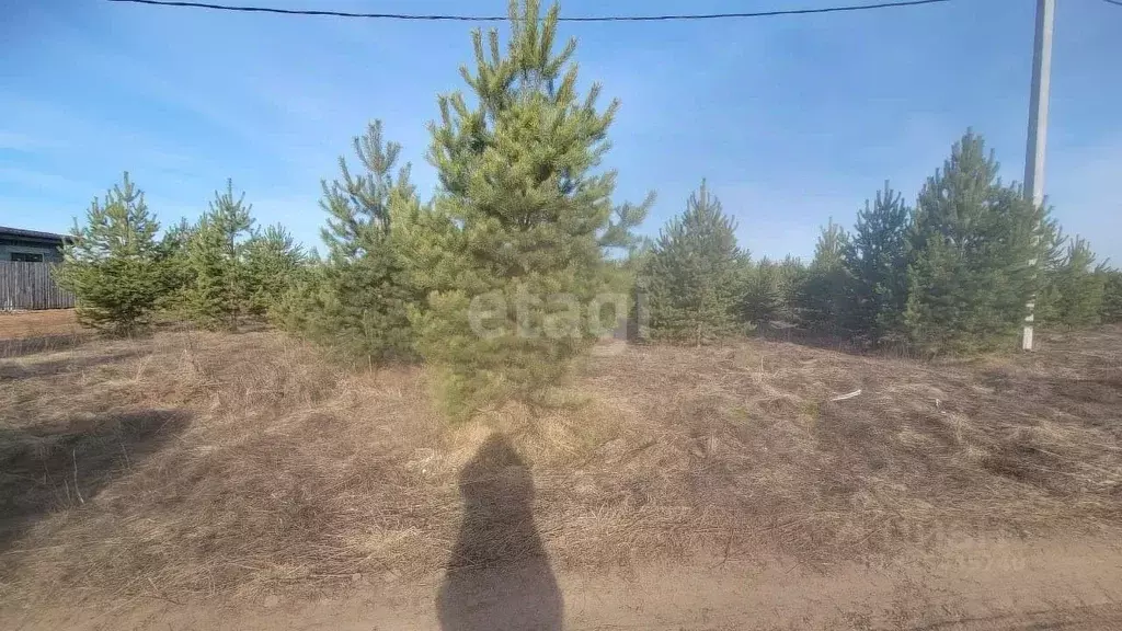Участок в Свердловская область, Нижний Тагил ул. Нежинская (6.0 сот.) - Фото 0
