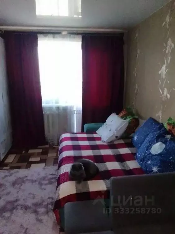 Комната Иркутская область, Иркутск бул. Рябикова, 11Б (17.1 м) - Фото 2