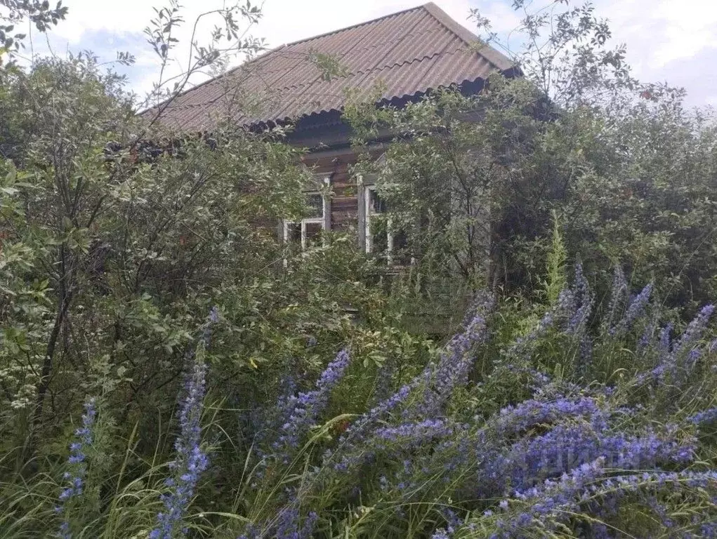 Дом в Ульяновская область, Барышский район, Поливановское с/пос, с. ... - Фото 2