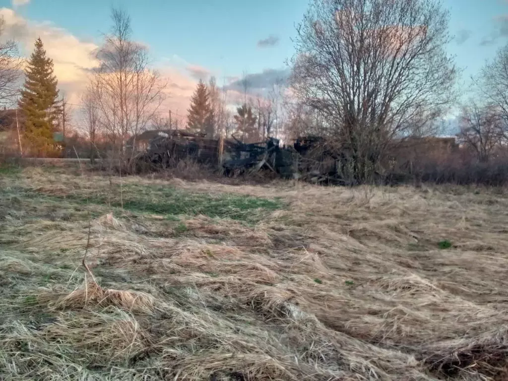 Участок в Ярославская область, Большесельский район, с. Варегово ул. ... - Фото 0