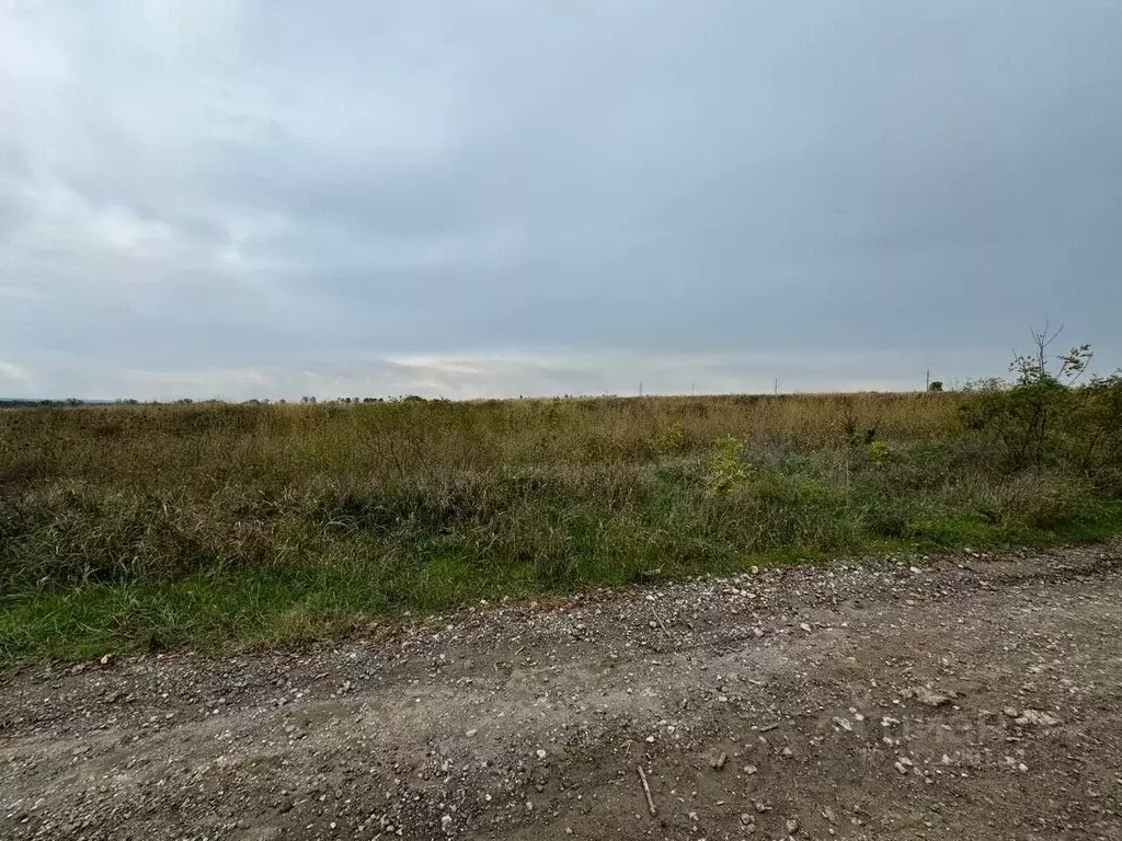 Участок в Краснодарский край, Темрюк Северные Сады СОТ,  (34.46 сот.) - Фото 1