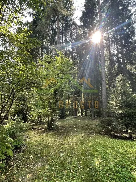 Участок в Московская область, Мытищи ул. Коларова, 7 (12.0 сот.) - Фото 0