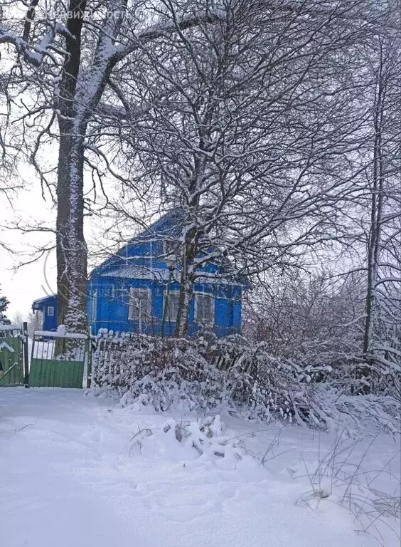 Дом в Оредежское сельское поселение, деревня Великое Село (48 м) - Фото 0