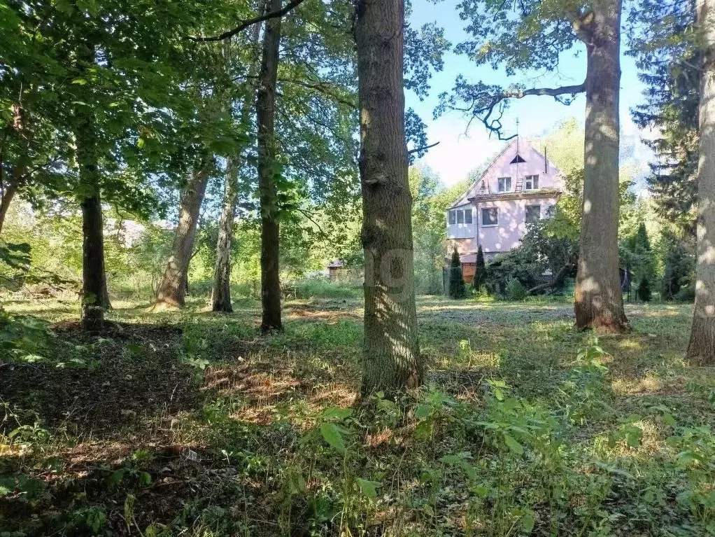 Участок в Калининградская область, Калининград Александра ... - Фото 1