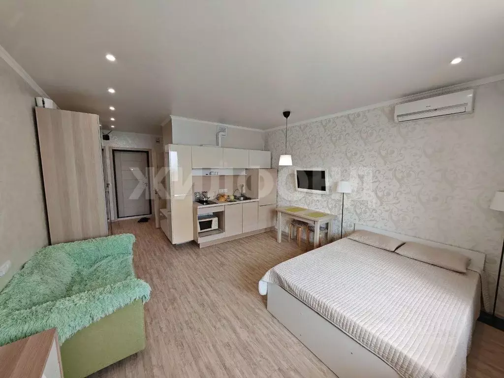 Студия Новосибирская область, Новосибирск ул. Державина, 92 (28.0 м) - Фото 1