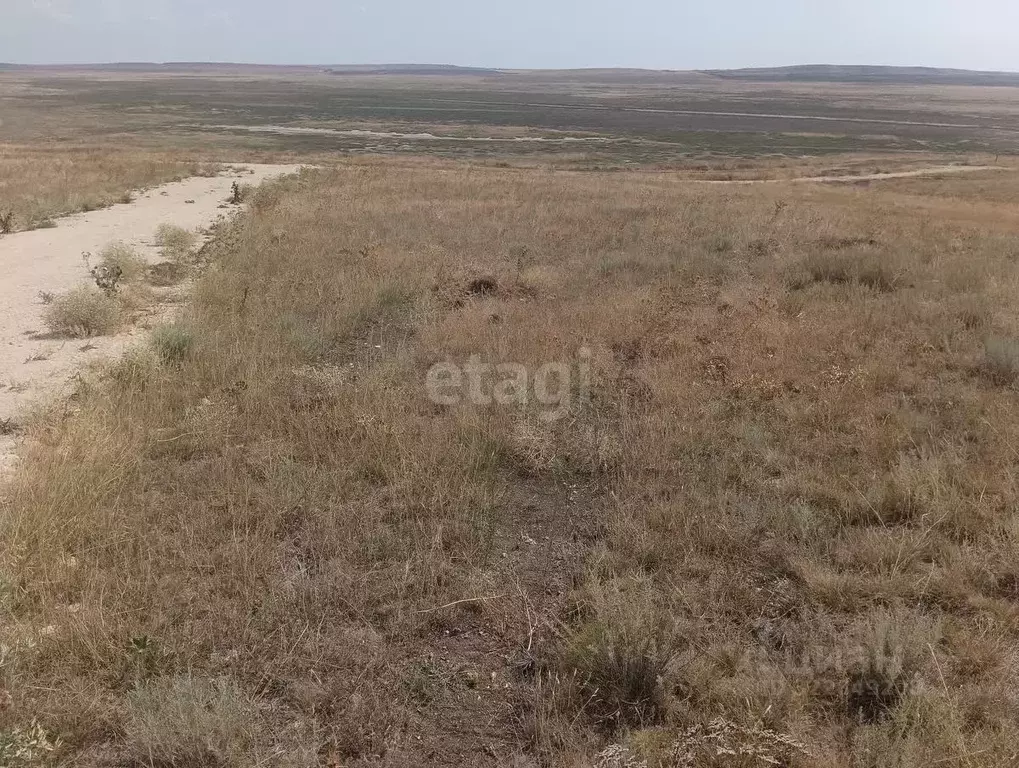 Участок в Крым, Ленинский район, Калиновское с/пос, Насыр урочище, № ... - Фото 1