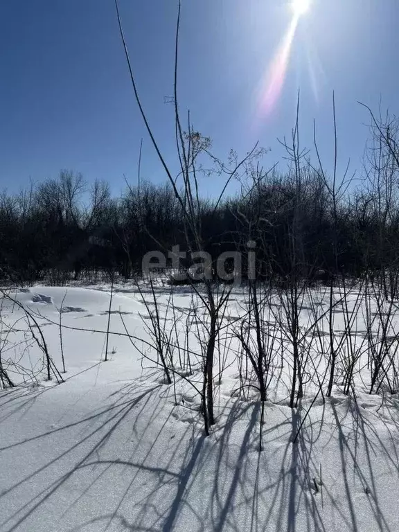 Участок в Башкортостан, Стерлитамак Опытник СНТ, 53 (4.3 сот.) - Фото 1