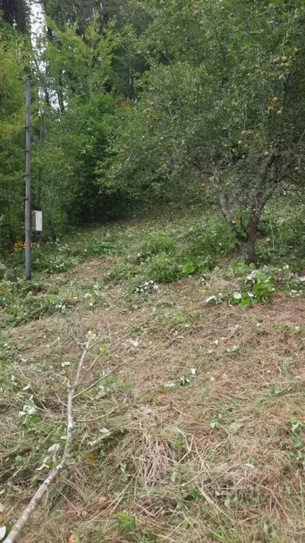 Участок в Краснодарский край, Сочи Северная Пальмира СТ,  (6.6 сот.) - Фото 1