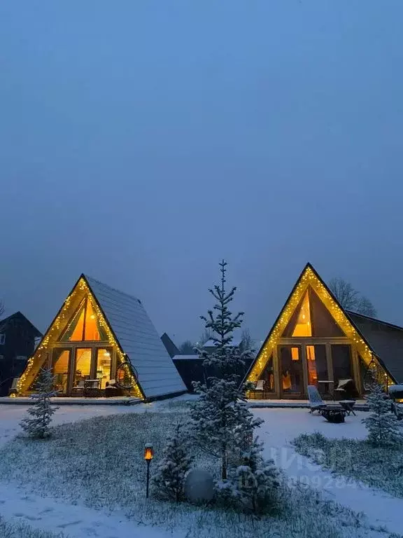 Дом в Алтай, Майминский район, с. Манжерок Манжерокская ул., 10А (48 ... - Фото 2