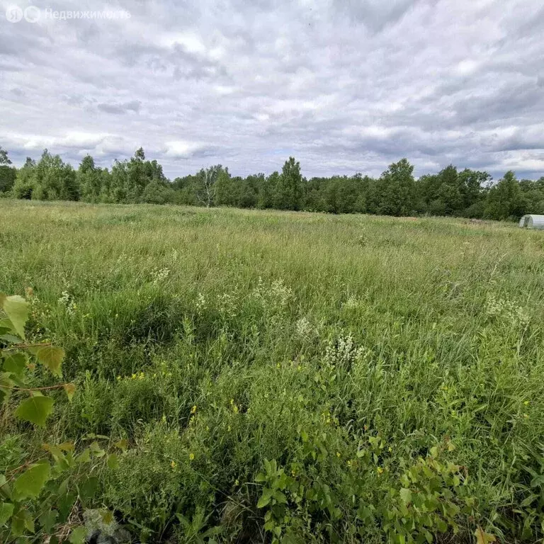 Участок в Новоалексеевское, улица Чернышевского (10.4 м) - Фото 1