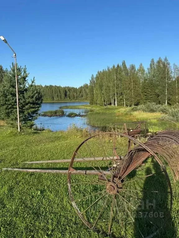 Дом в Карелия, Олонец  (24 м) - Фото 1