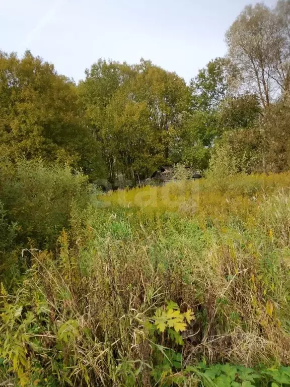 Участок в Москва д. Исаково,  (12.0 сот.) - Фото 2