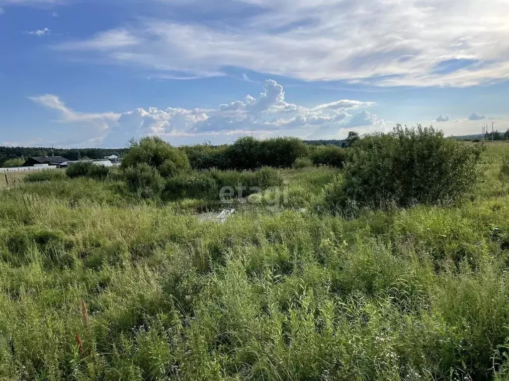 Участок в Свердловская область, Слободо-Туринский район, ... - Фото 1
