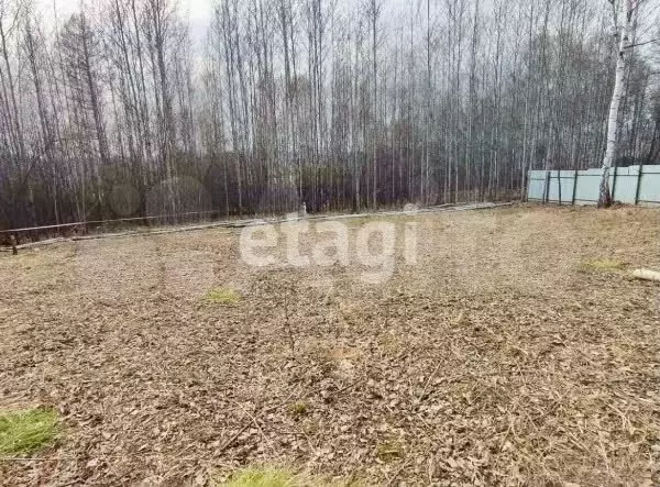 Участок 16,8 сот. (СНТ, ДНП) - Фото 1