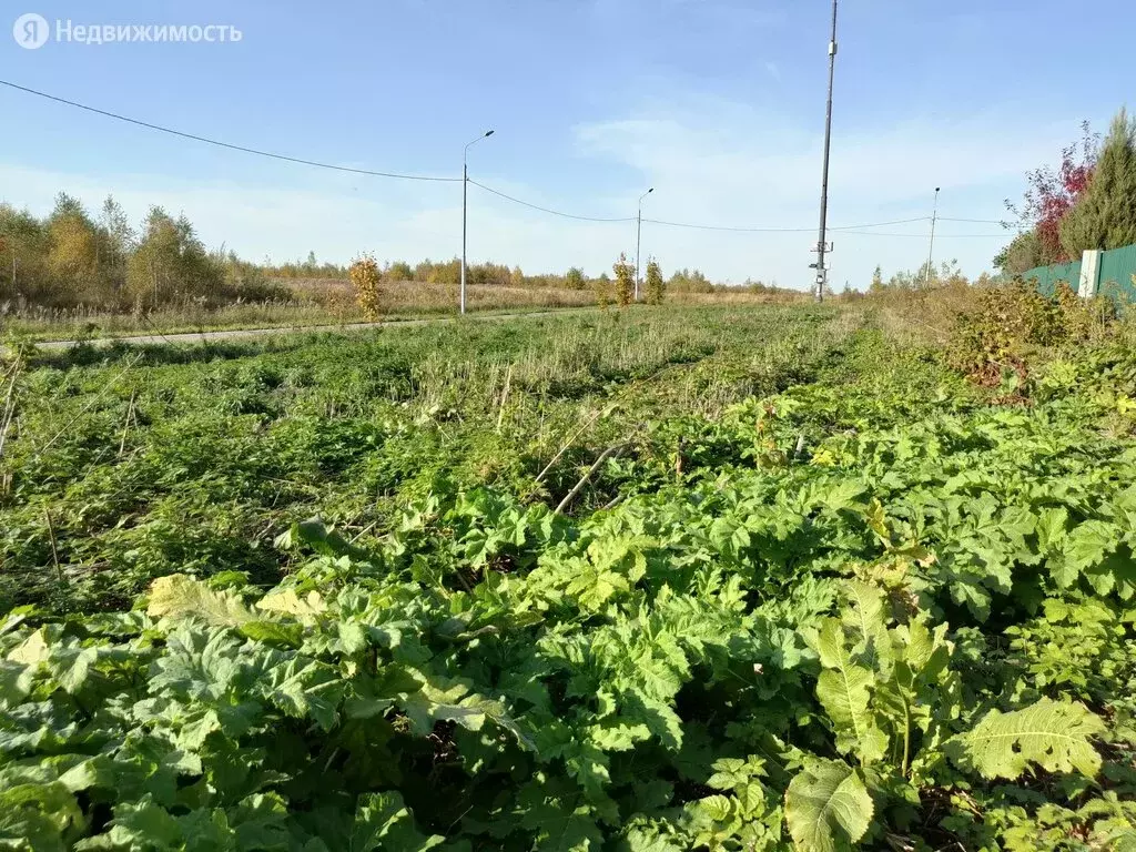 Участок в поселение Десёновское, деревня Черепово (16.4 м), Купить  земельный участок в Москве, ID объекта - 20006839227